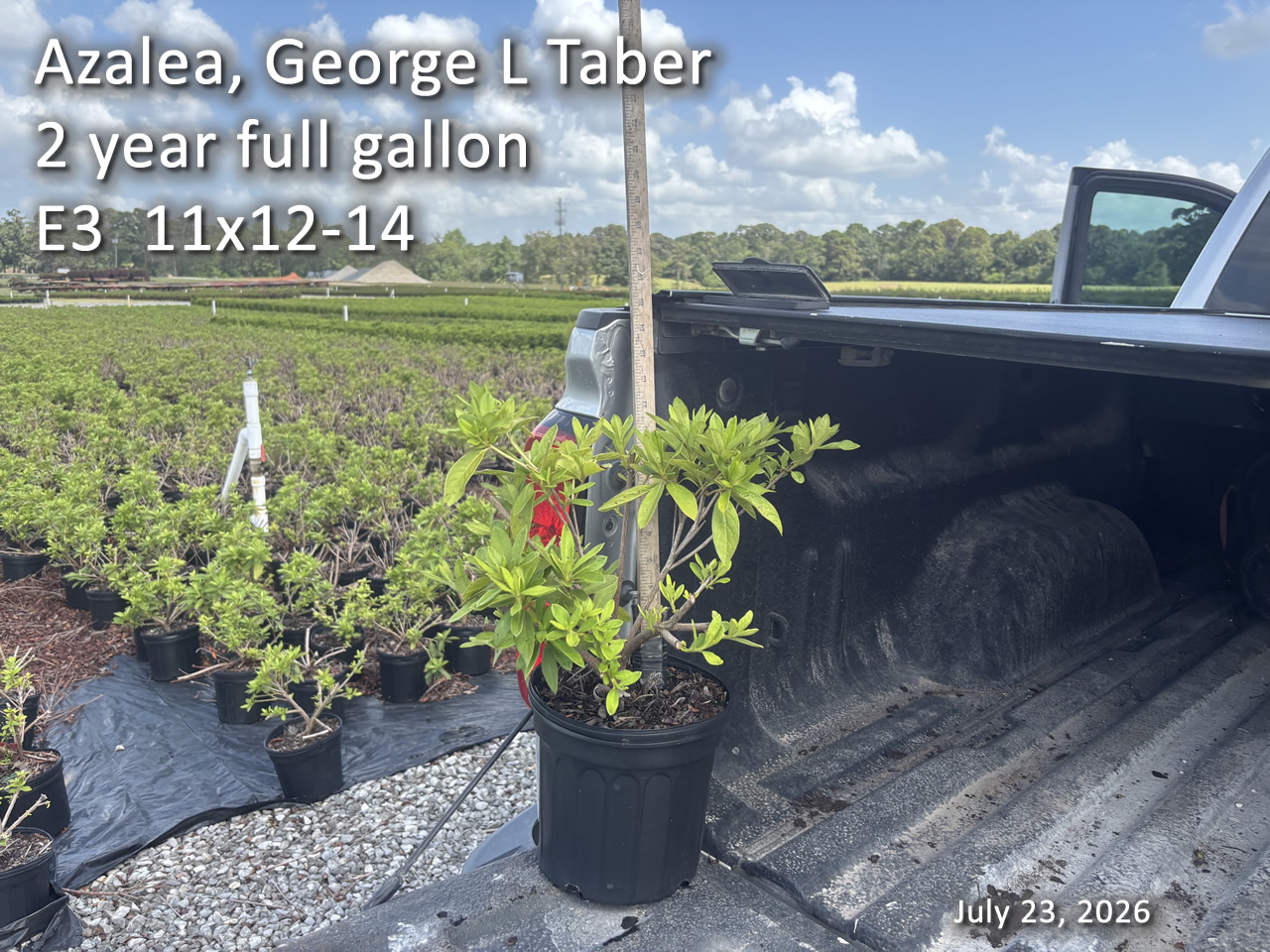 gallery/gt2yf e3 jul23.jpg
